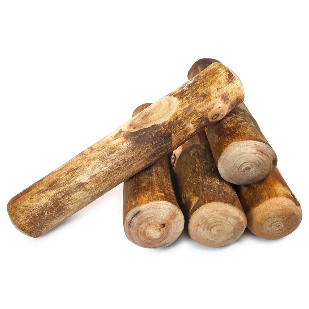 Pack famille (5 bâtons) à mâcher en bois de cannelle de java, taille l, jouet exclusif pour grand chien (16-22kg)