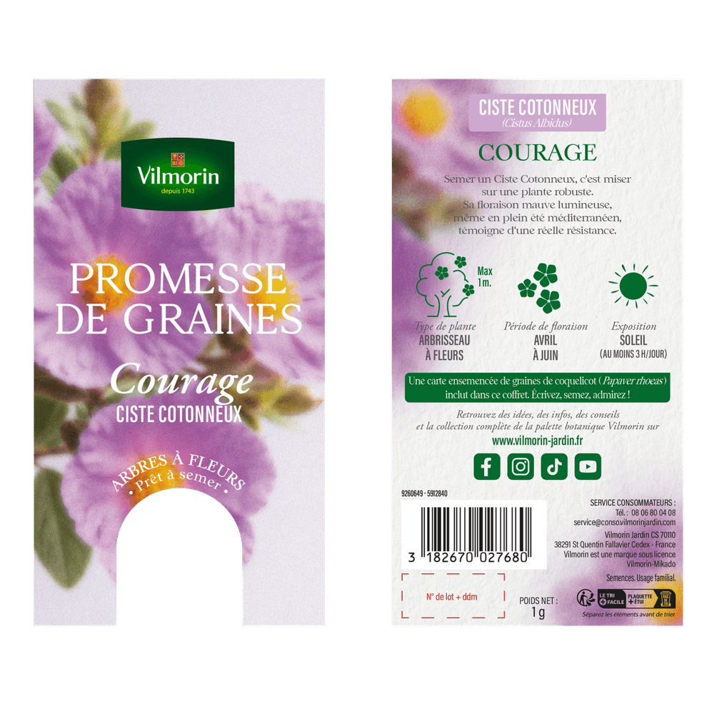 Ciste cotonneux - courage