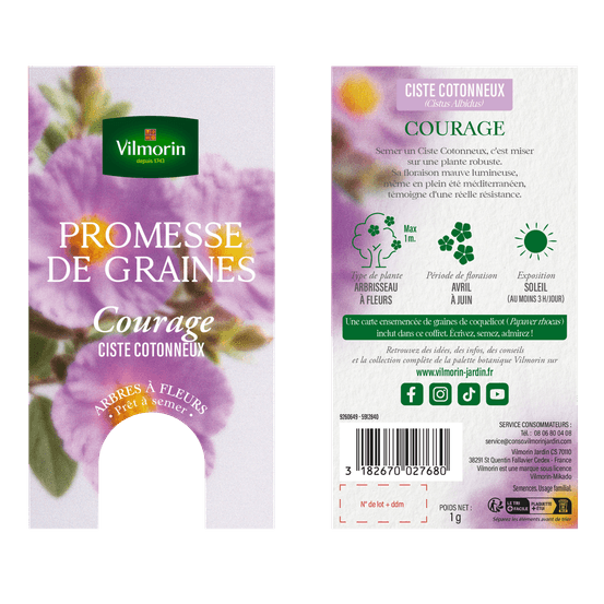 Ciste cotonneux - courage