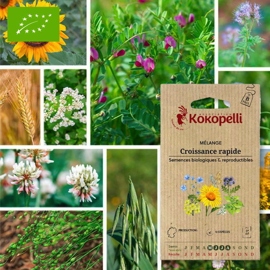 Mélange croissance rapide- graines bio à semer