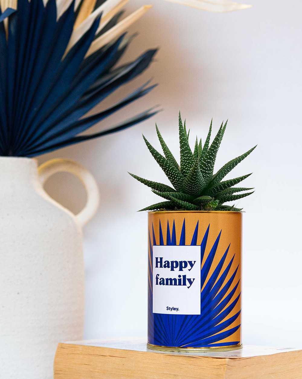 Plante personnalisée - happy family - cactus