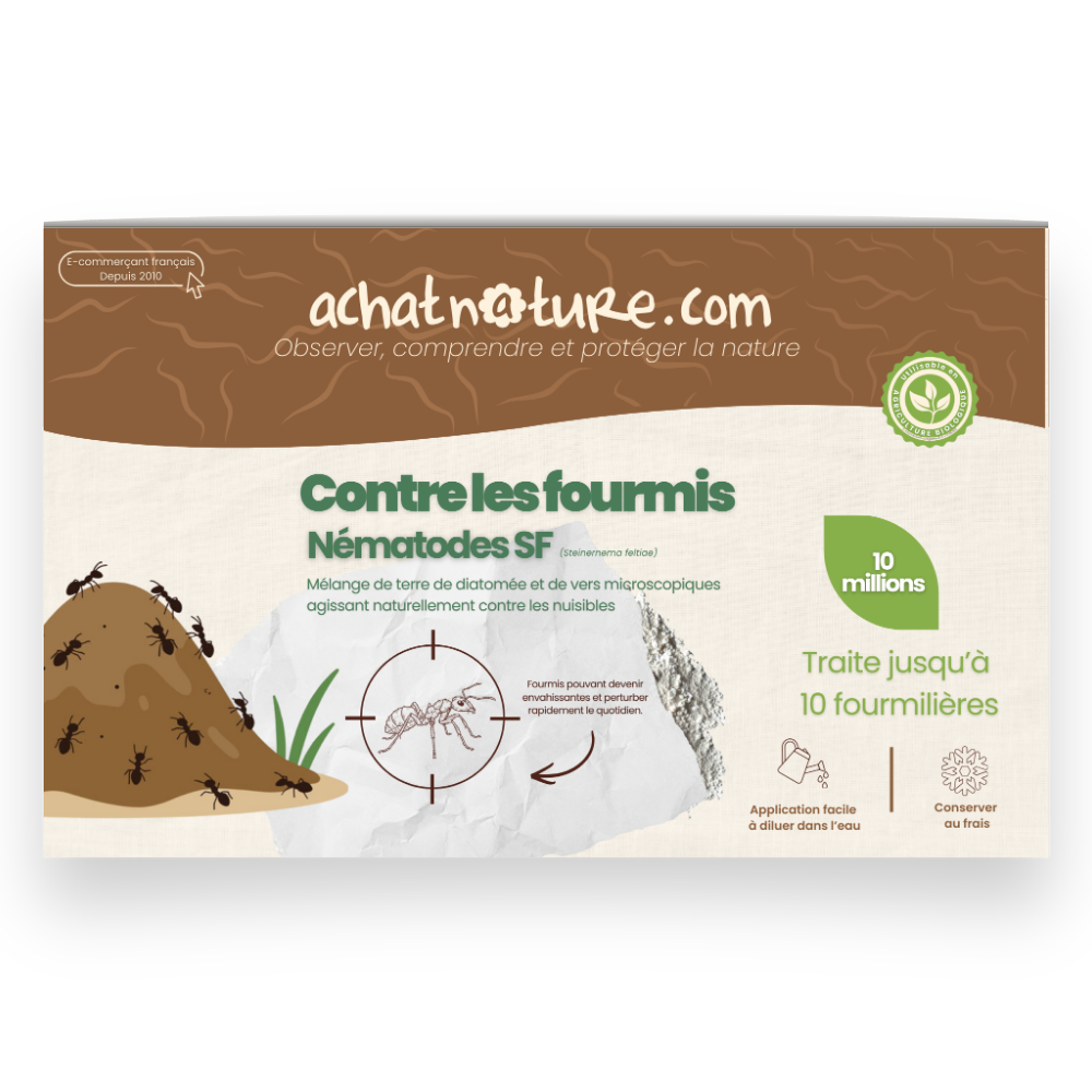 Nématodes sf contre fourmis - 10 millions - 10 fourmilières