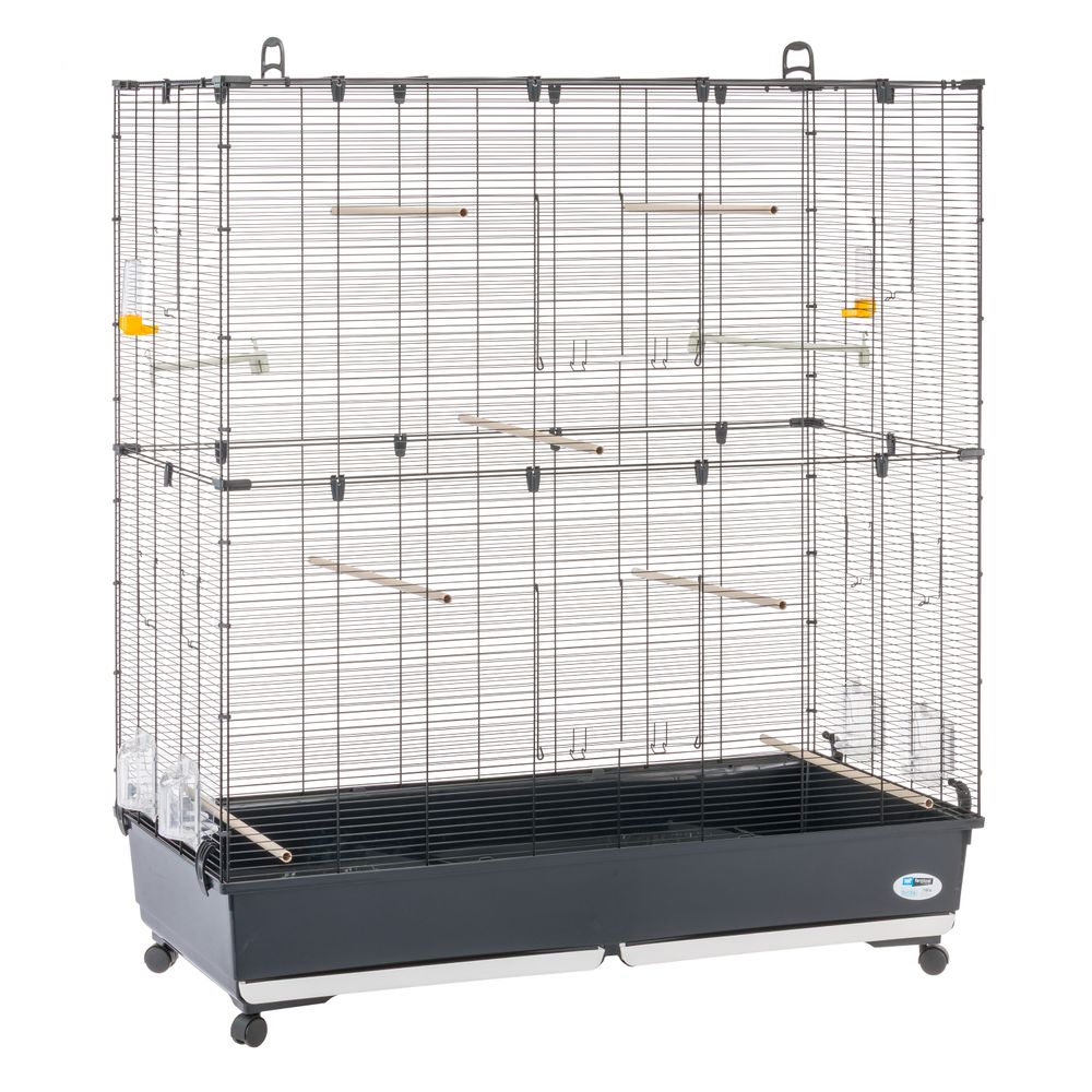 Ferplast volière cage à oiseaux planeta large grande cage pour canaris, pinsons, perruches ondulées, inséparables, métal,