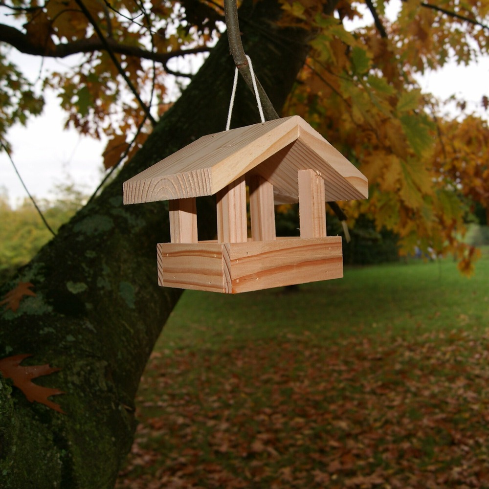 Mangeoire oiseau le déjeuner douglas