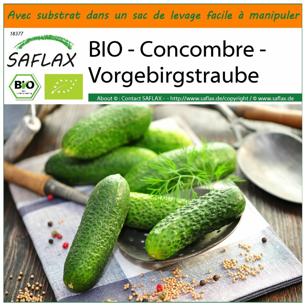 Garden in the bag - bio - concombre - vorgebirgstraube - 15 graines - cucumis sativus