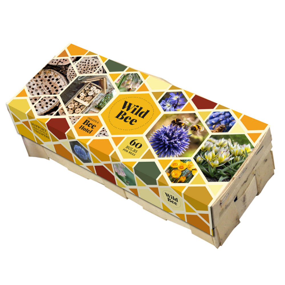 Caisse de 60 bulbes de fleurs abeilles violet