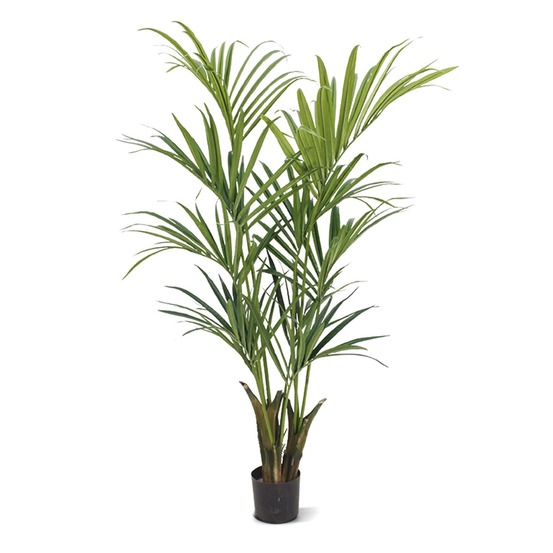 Kentia palmier artificielle deluxe 165 cm