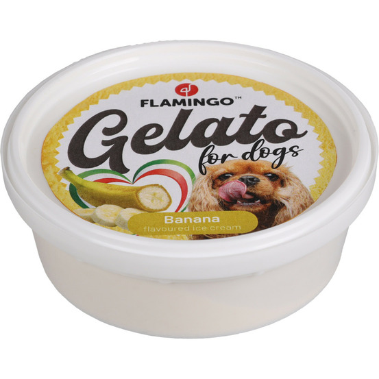 Snack gelato 1crème glacée à l'ananas ou à la banane ou à la framboise parf