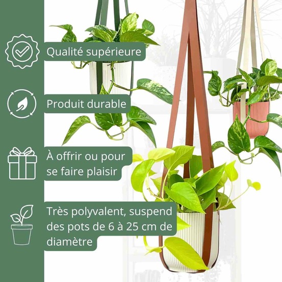 Offre duo - x2 suspensions pour plantes en similicuir + crochets en métal offerts ! - vert impérial