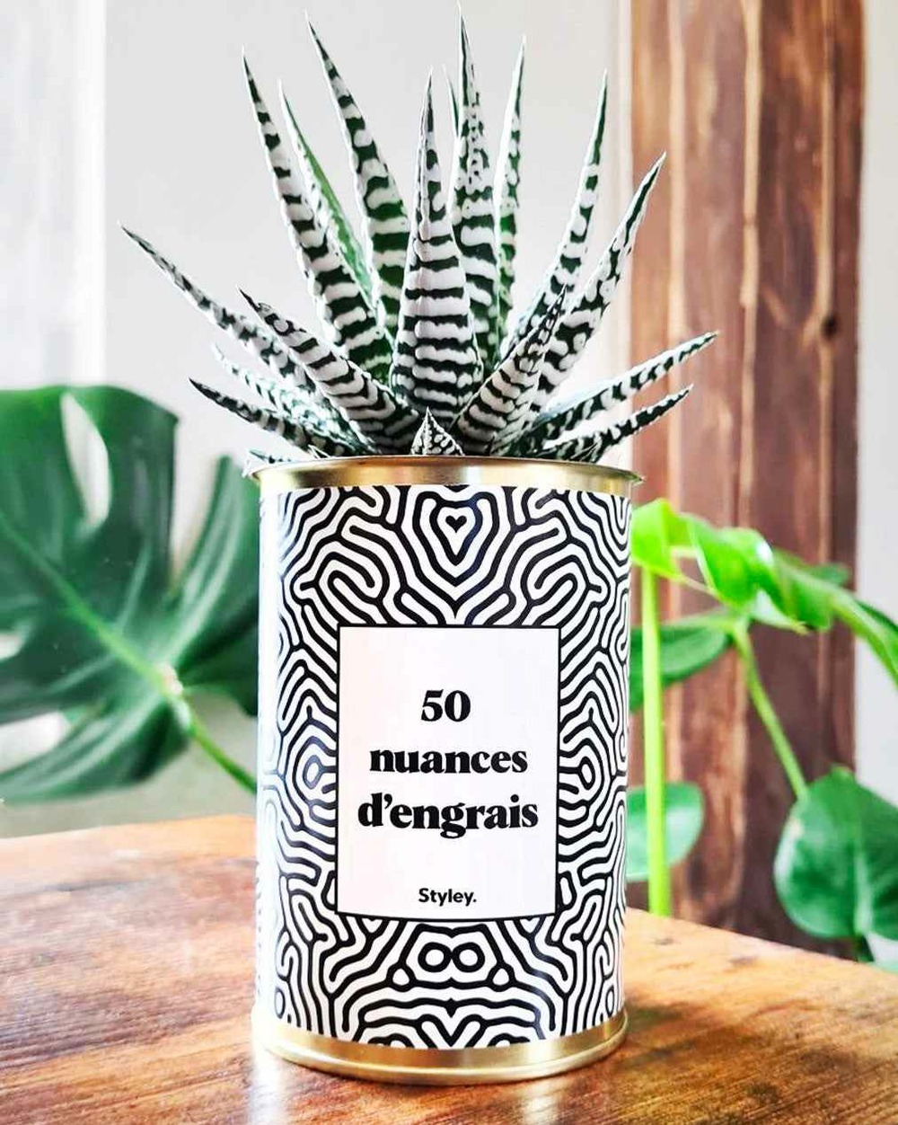 Idée cadeau - 50 nuances d'engrais - plante grasse