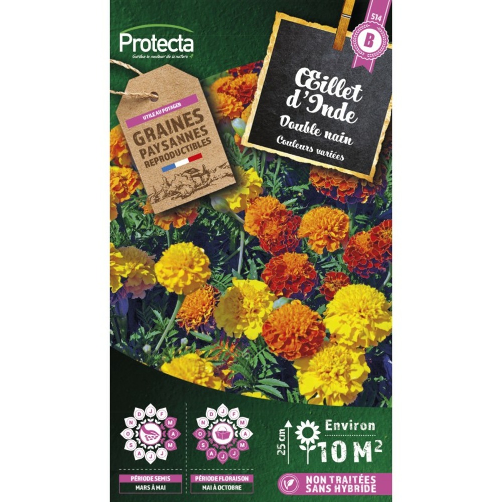 Graines paysannes - oeillet d'inde double nain varié
