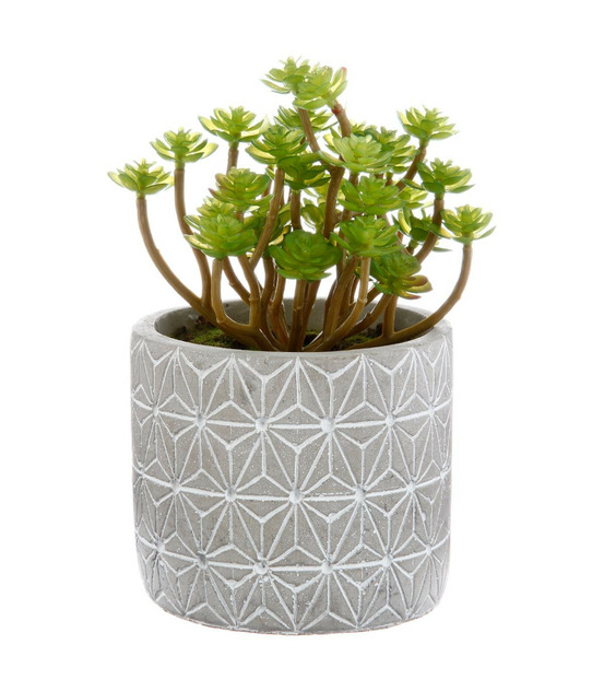Plante grasse artificielle en pot h 17 cm