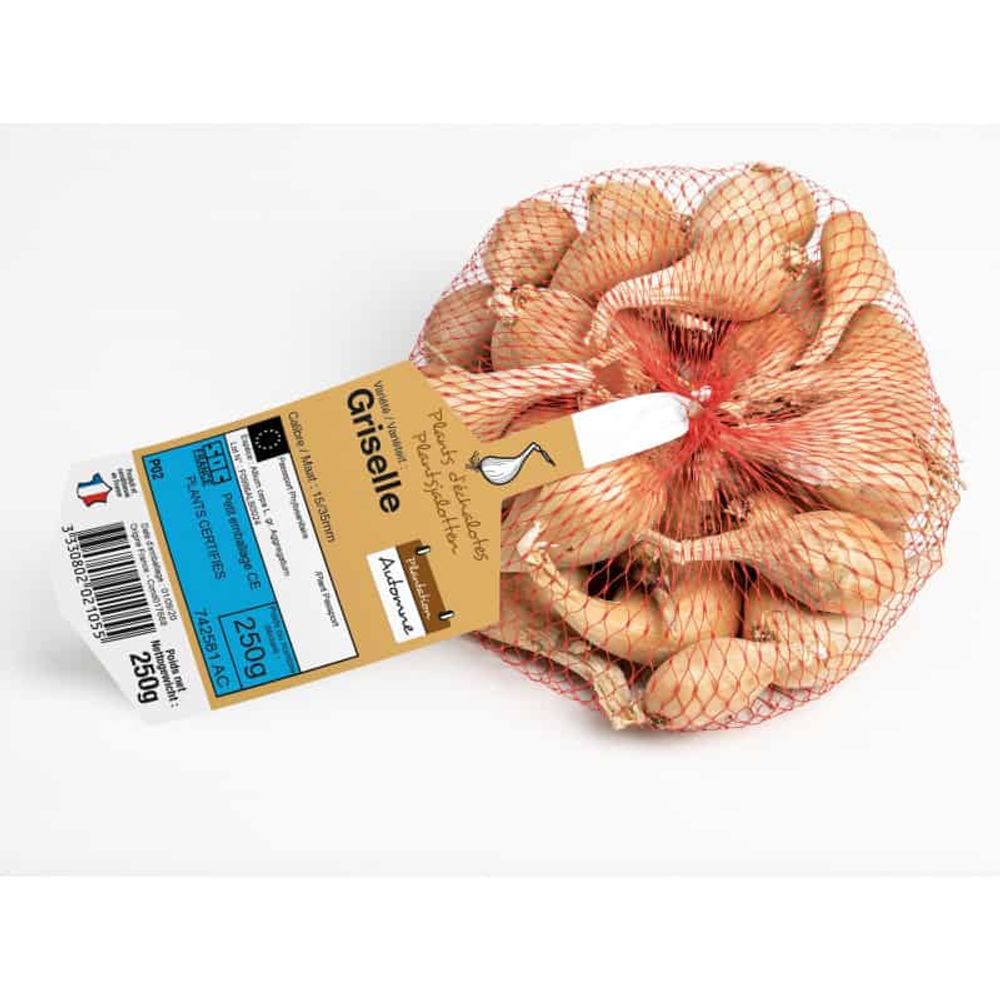 Griselle 500 gr echalotes a repiquer