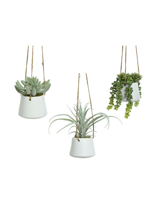 Plante grasse artificielle suspendue modèles variés 800073