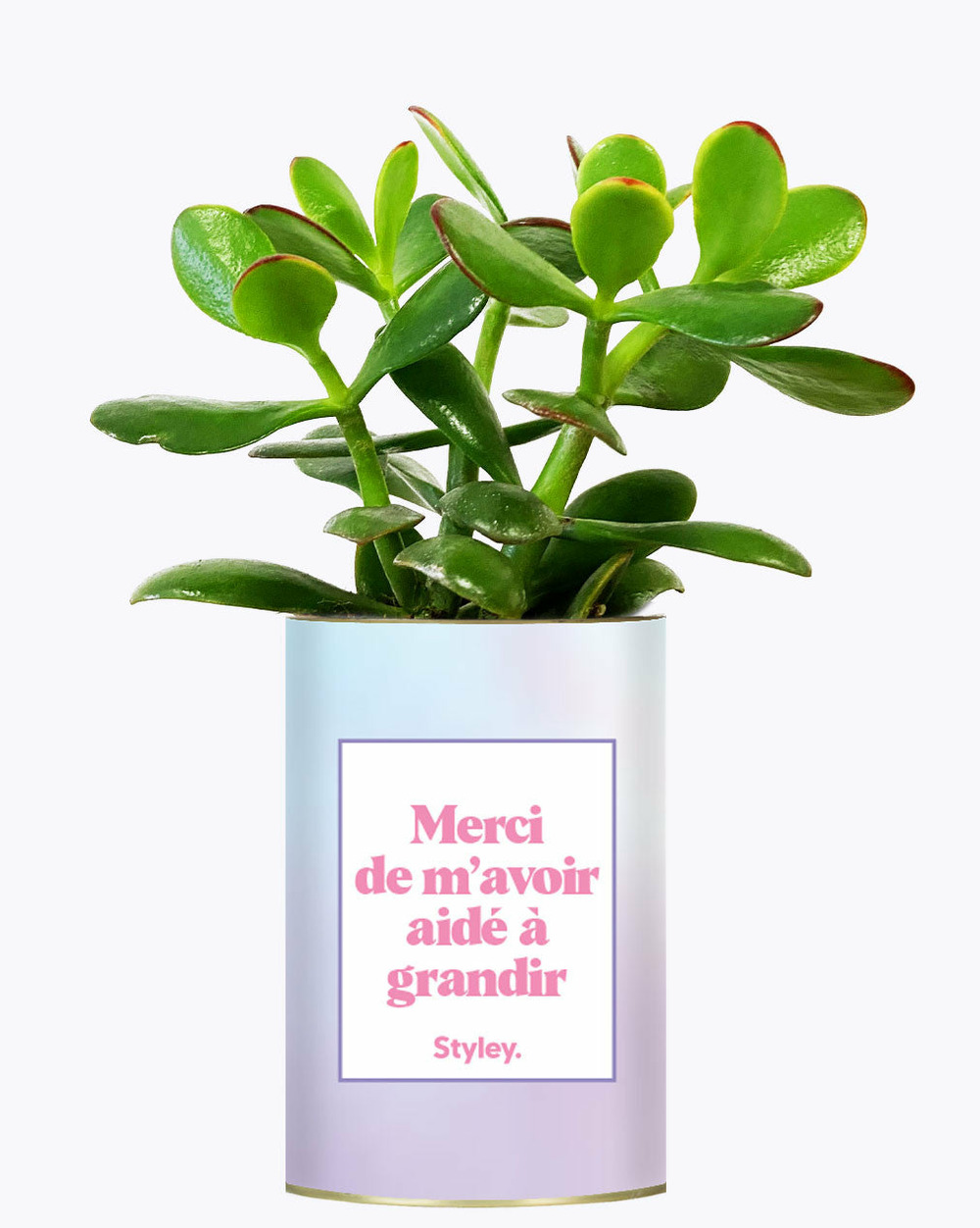 Plante drôle - merci de m'avoir aidé à grandir - cactus