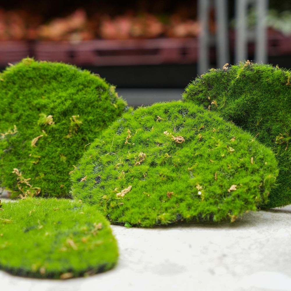 Plaque de mousse – mousse verte – set de 4 – mousse artificielle - plante artificielle