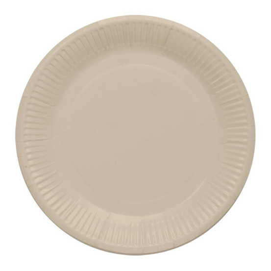 Lot de 20 assiettes en carton