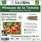 Mineuse de la Tomate - Nématodes steinernema feltiae (SF) - 25 millions