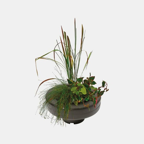 Panier flottant plante de bassin diam. 30 cm