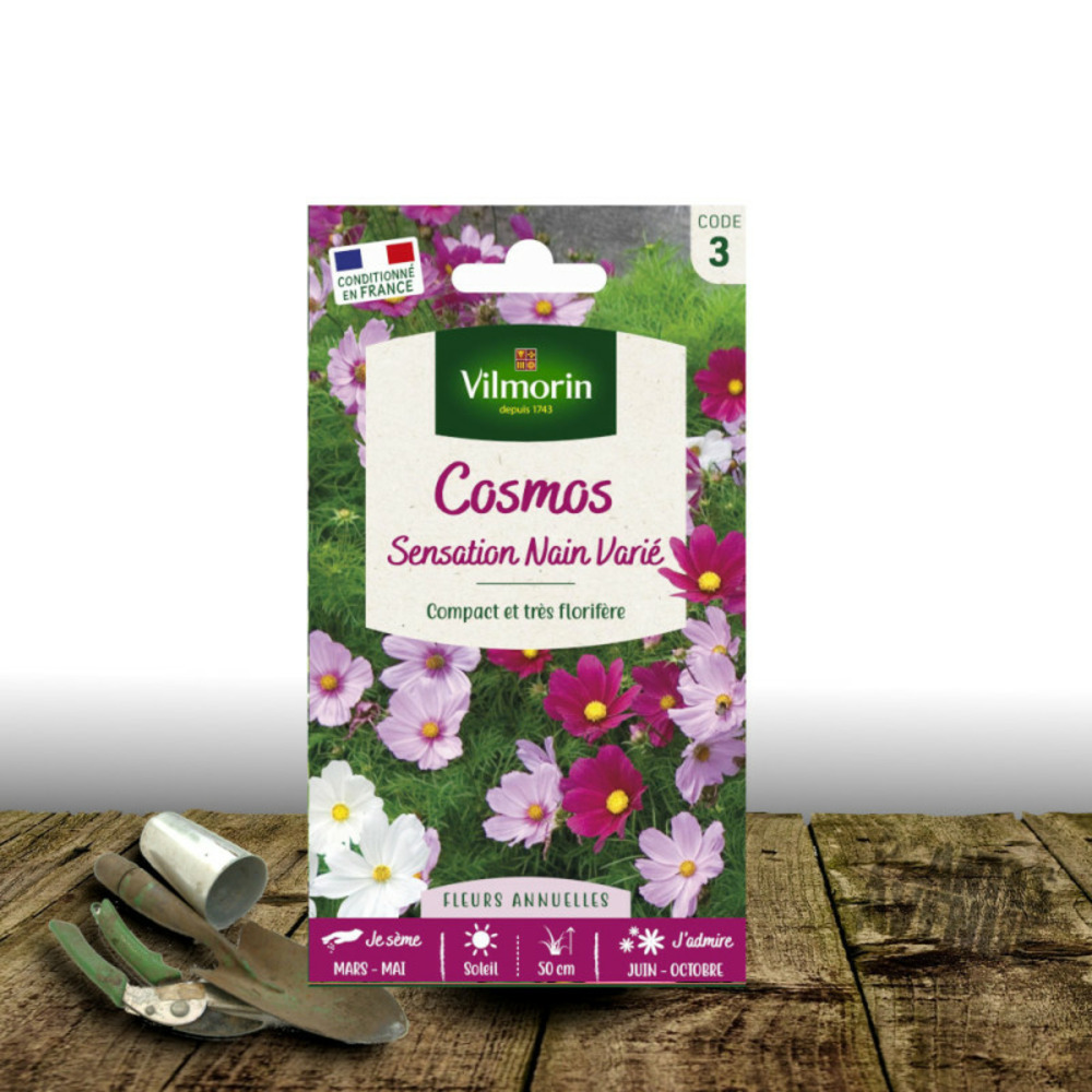Graines de cosmos sensation nain - vilmorin sachet
