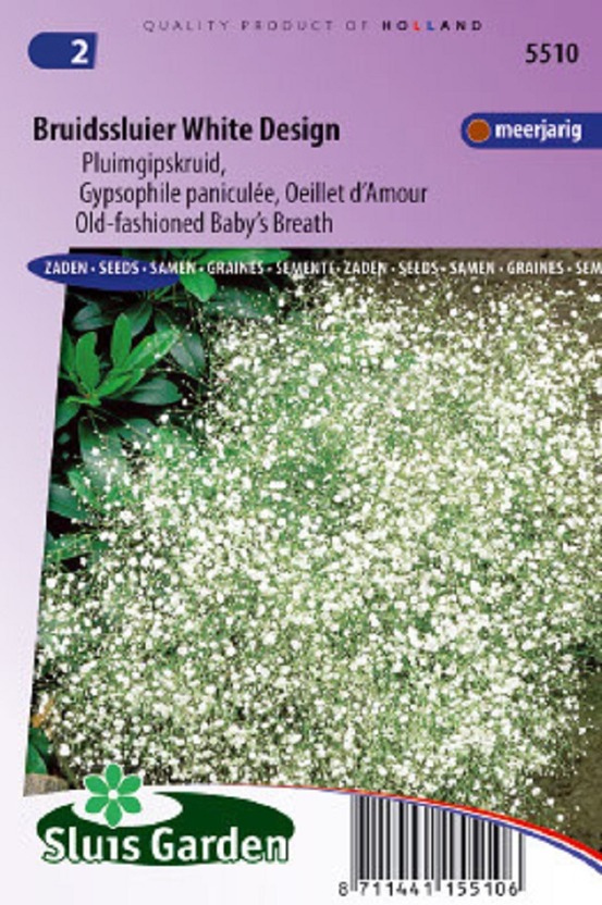 Gypsophile paniculée, oeillet d'amour white design - graines de fleurs vivaces - ca. 0,25 g (livraison gratuite)