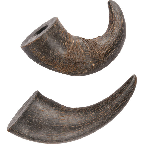 2 cornes de buffle séché small nature snack, pour chiens
