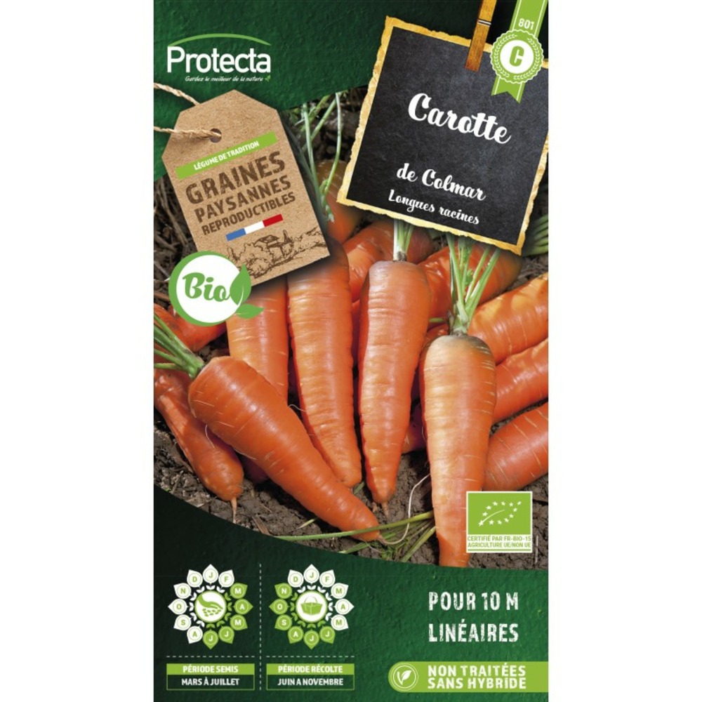 Graines paysannes - carotte de colmar à coeur rouge bio