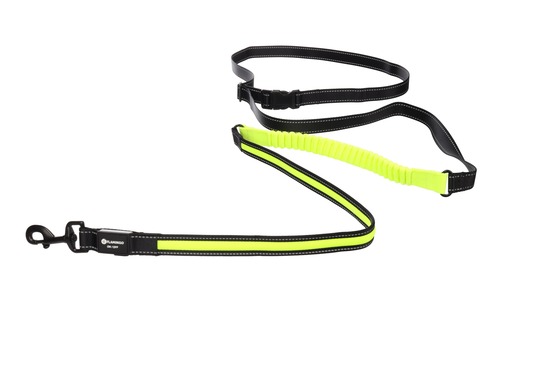 Laisse de jogging led réfléchissante pour chien