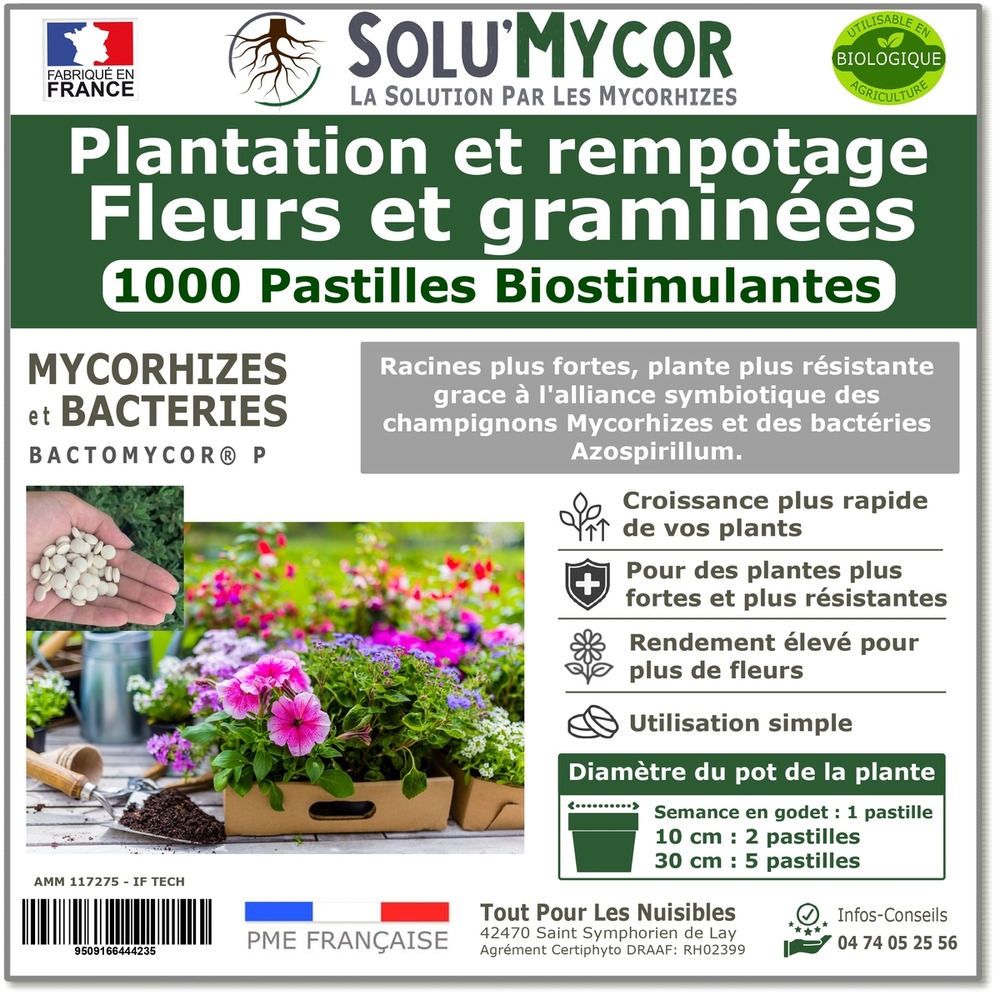 Solumycor 1000 pastilles biostimulantes fleurs et graminees semis plantation developpement racinaire