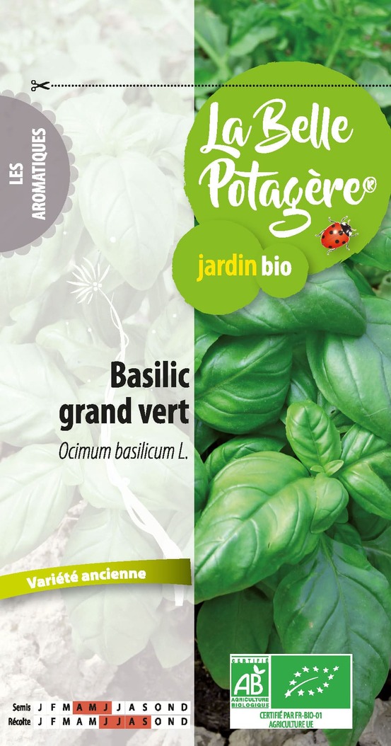 Basilic grand vert 0,5 g