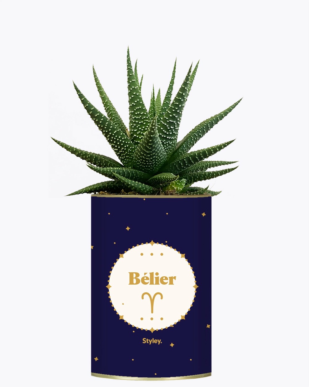 Idée cadeau - astrologie - plante zodiac