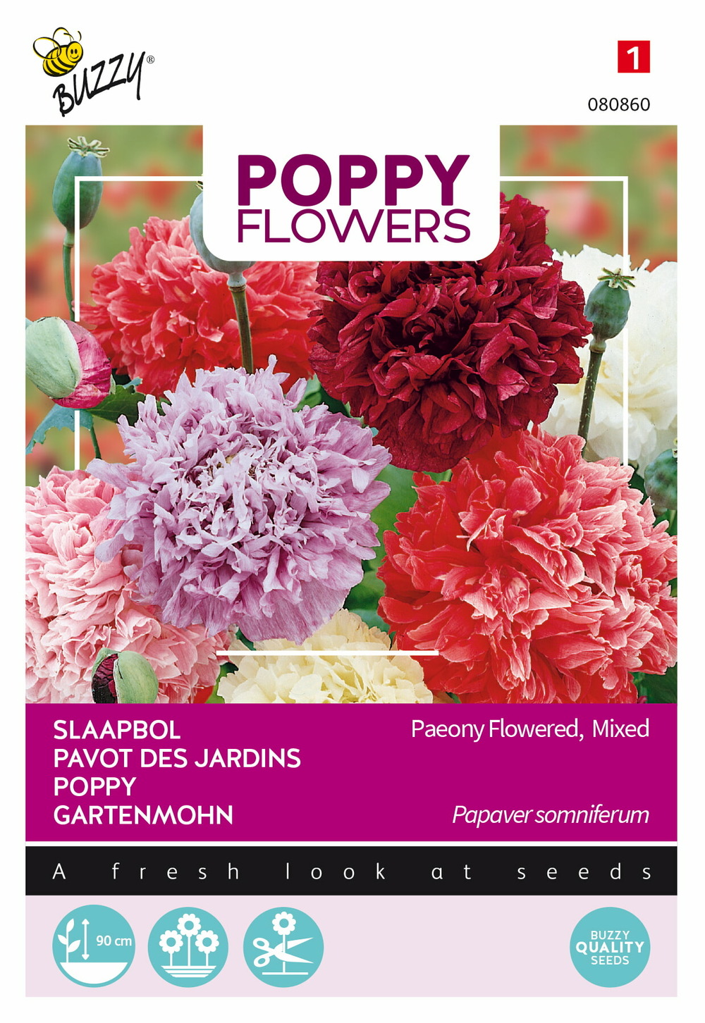 Buzzy poppy flowers paeoniflorum dbl var. - ca. 1 gr (livraison gratuite)