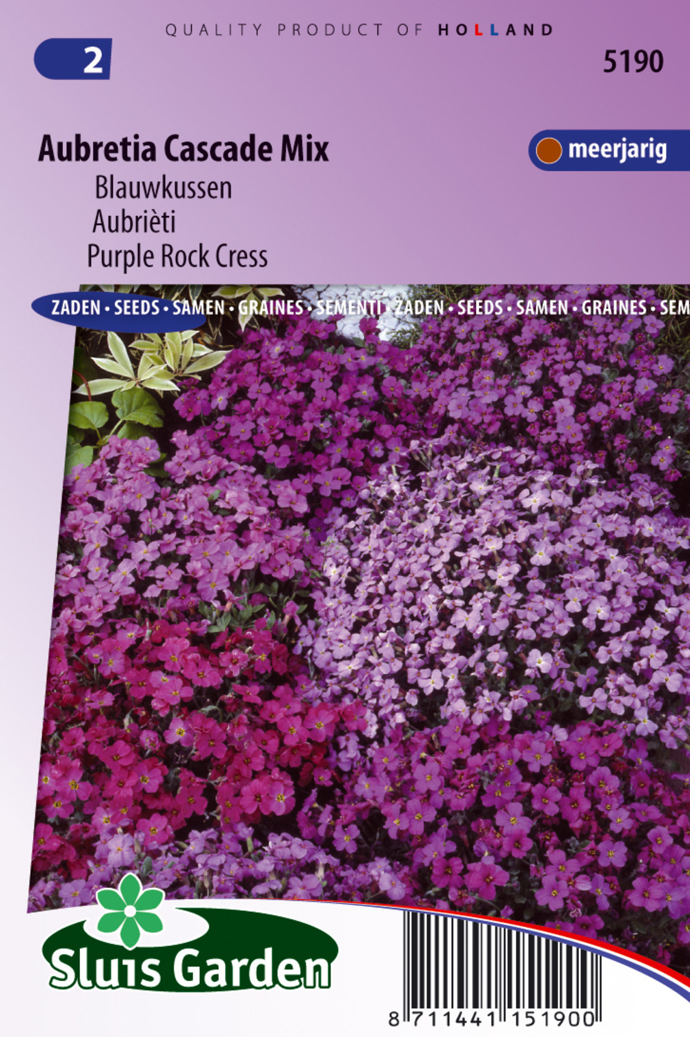 Aubrièti cascade mix - graines de fleurs vivaces - ca. 0,2 g (livraison gratuite)