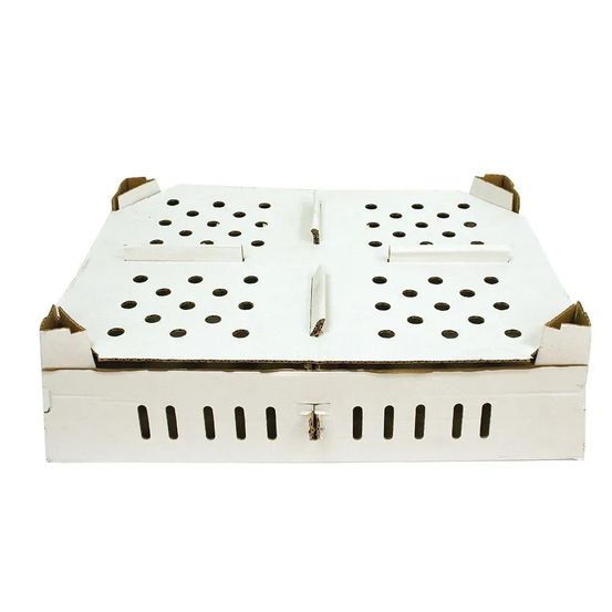 Lot de 25 boîtes transport poussins carton empilables 46 x 60 x 12 cm