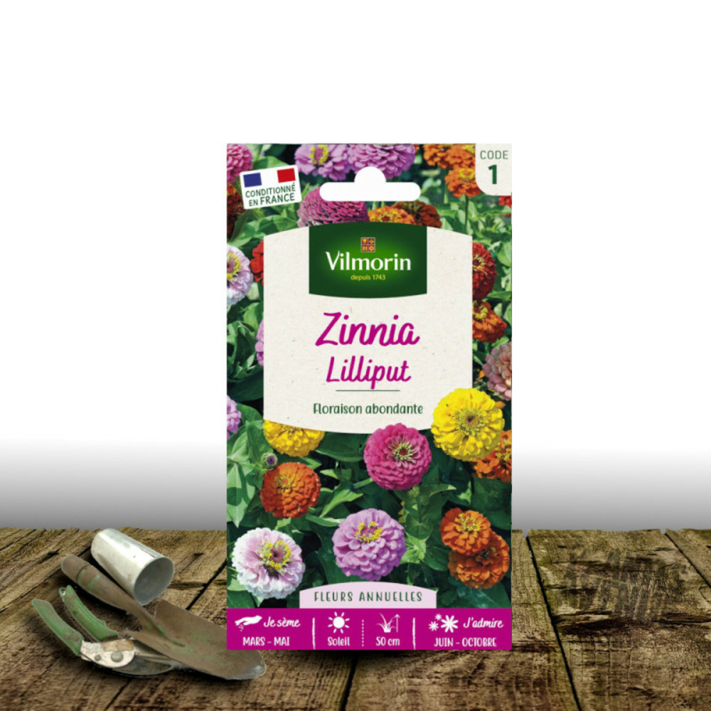Graines de zinnia liliput - vilmorin sachet