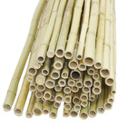 Canisse en bambou (lot de 3) lot de 3