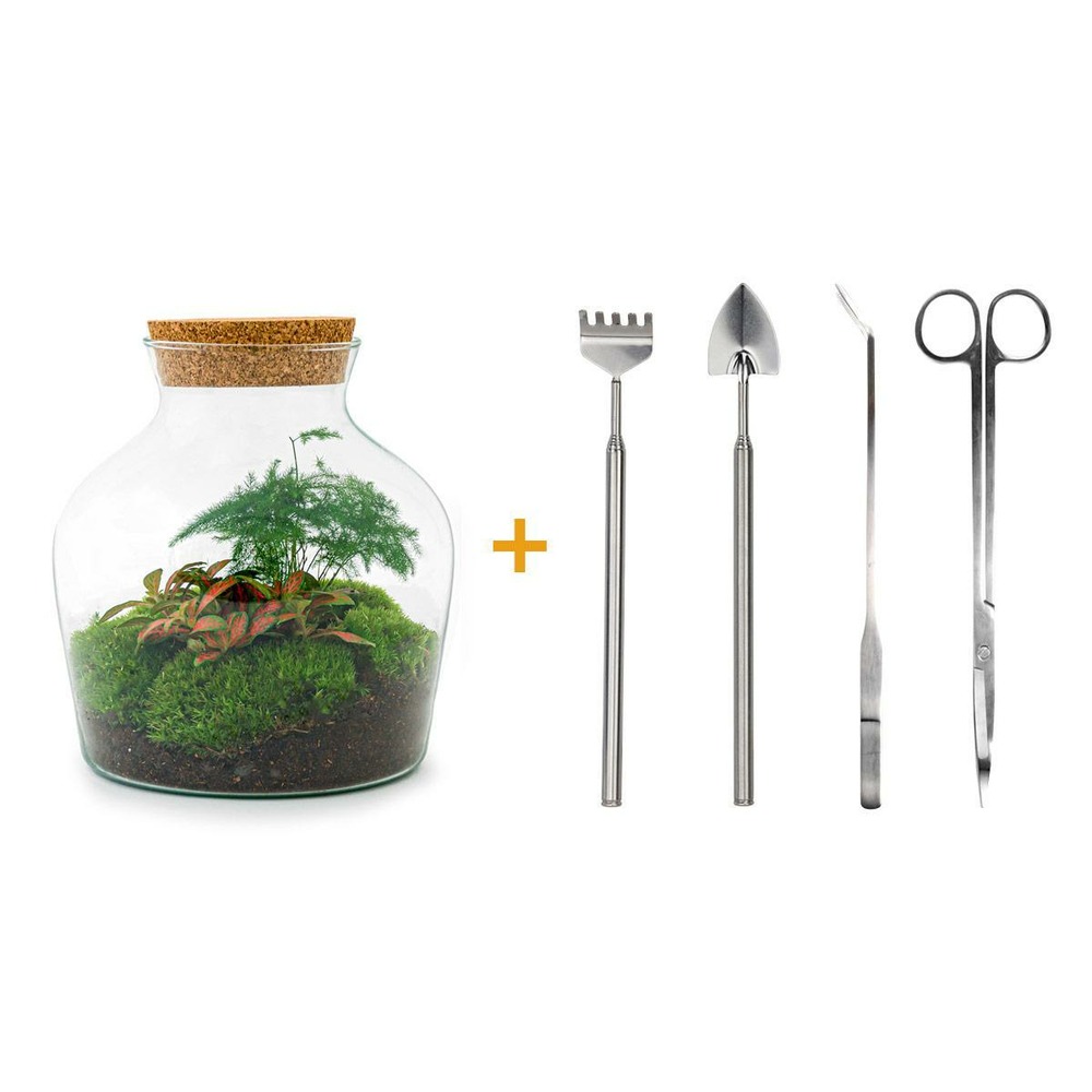 Diy terrarium - little joe - h21.5 cm - ø21.5 cm
