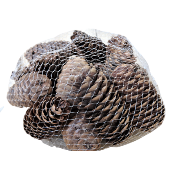 Sachet de pommes de pin allongées marron 240g