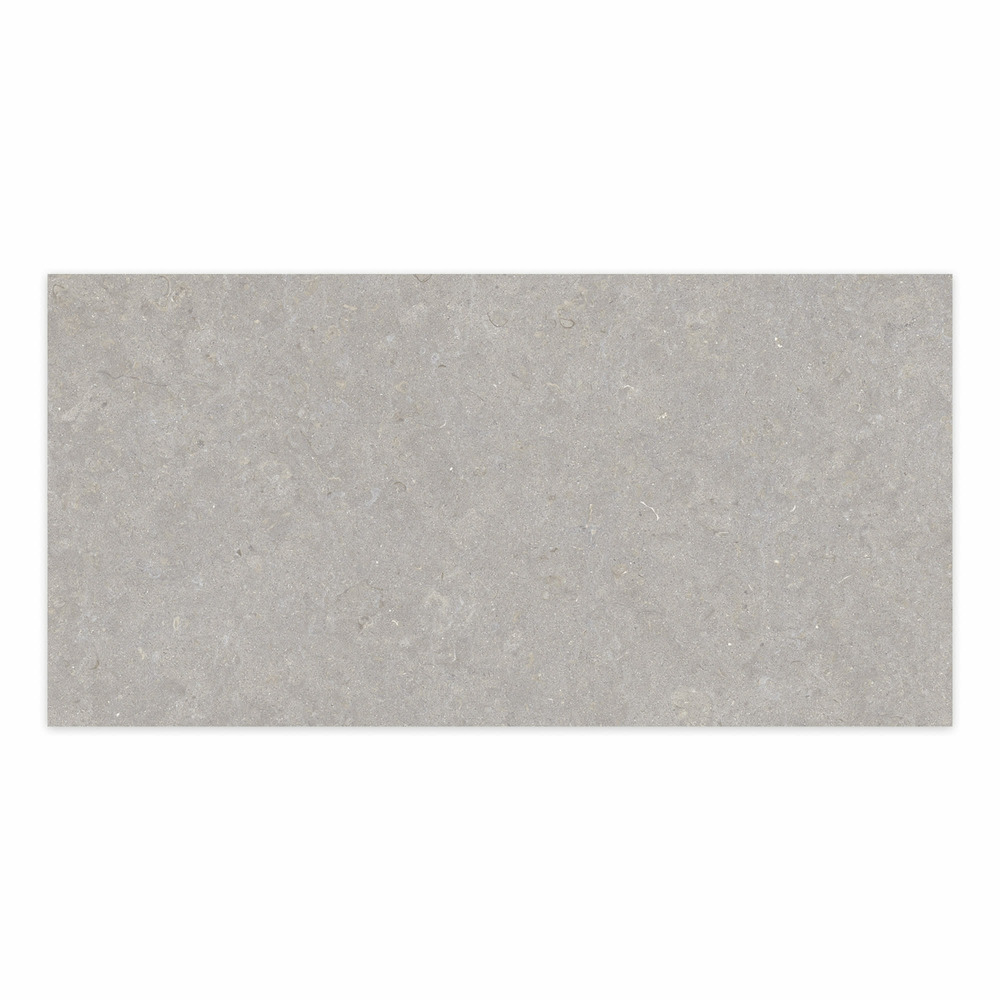 Carrelage effet pierre gris cendré 100x50x2 cm belmorin - sol extérieur (vendu par carton de 0,5 m²) - ro'ma carrelage