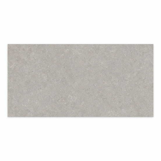 Carrelage effet pierre gris cendré 100x50x2 cm belmorin - sol extérieur (vendu par carton de 0,5 m²) - ro'ma carrelage