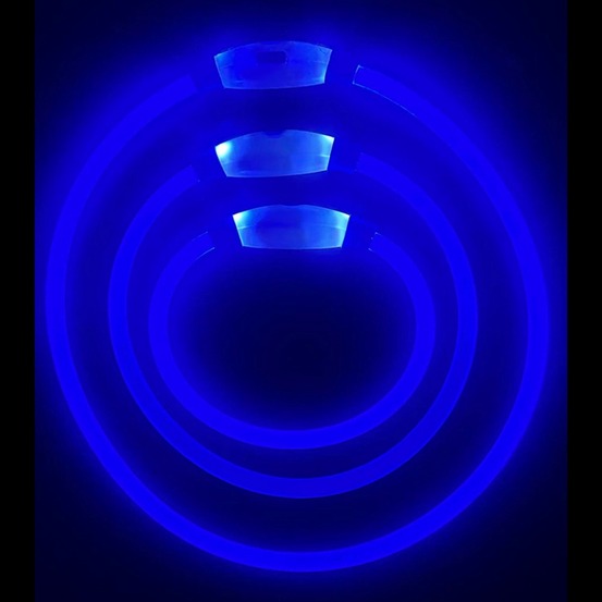Collier lumineux rechargeable pour chien bleu taille s, circonférence 30 cm