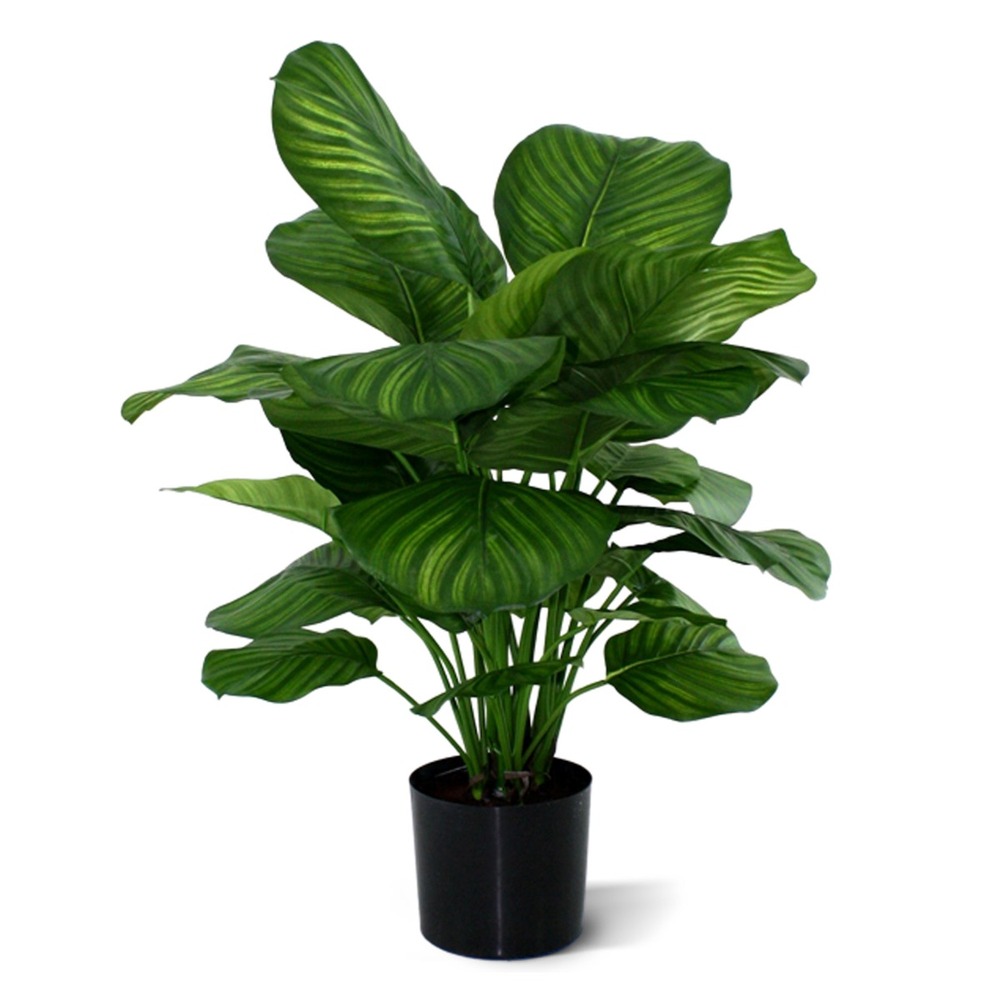Calathea fasciata plante artificiel 80cm