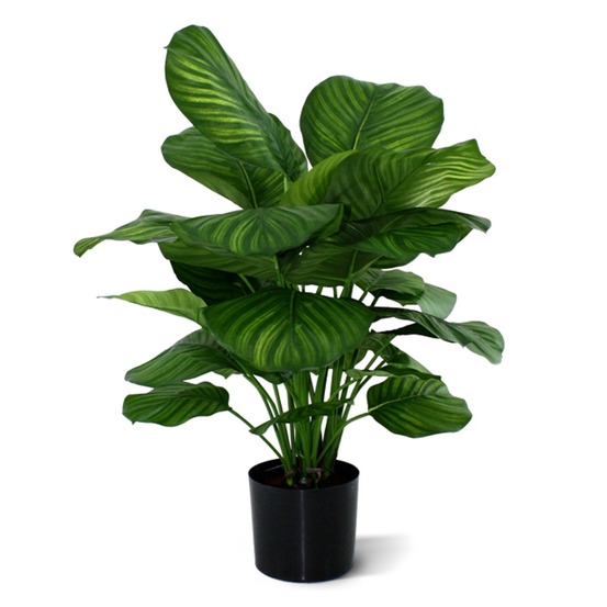 Calathea fasciata plante artificiel 80cm