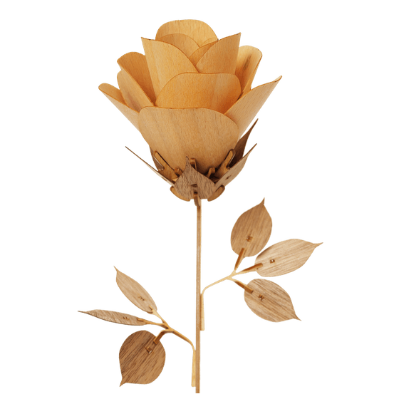 Maquette de fleur en bois à assembler – rose | valentina