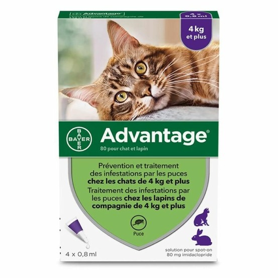Pipettes antiparasitaire chat / lapin advantage 80 (4-10 kg) - bayer 6 pipettes