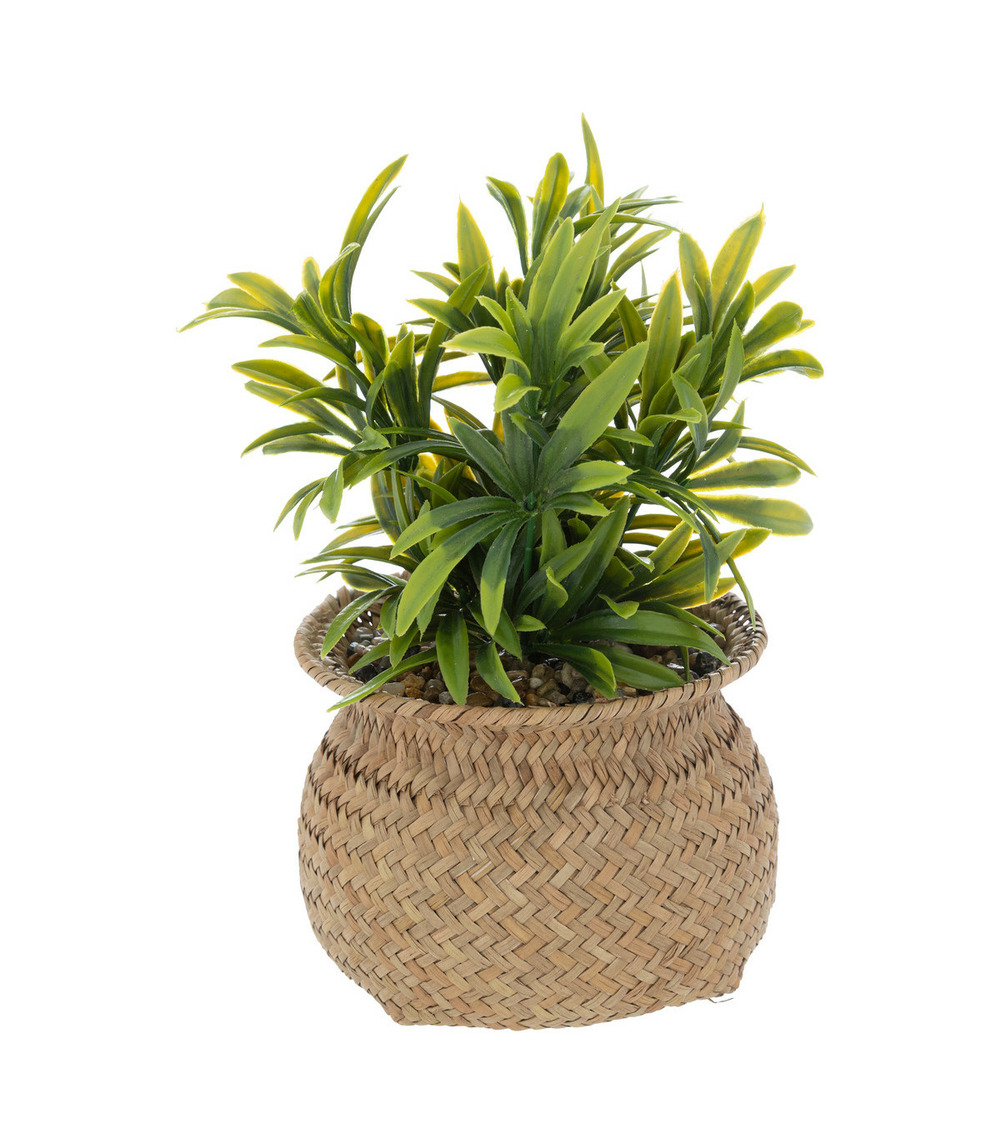 Plante artificielle pot en roseau h 20 cm