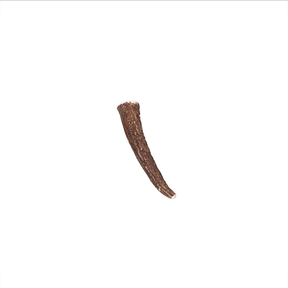 Bois cerf entier - mastications pour chiens