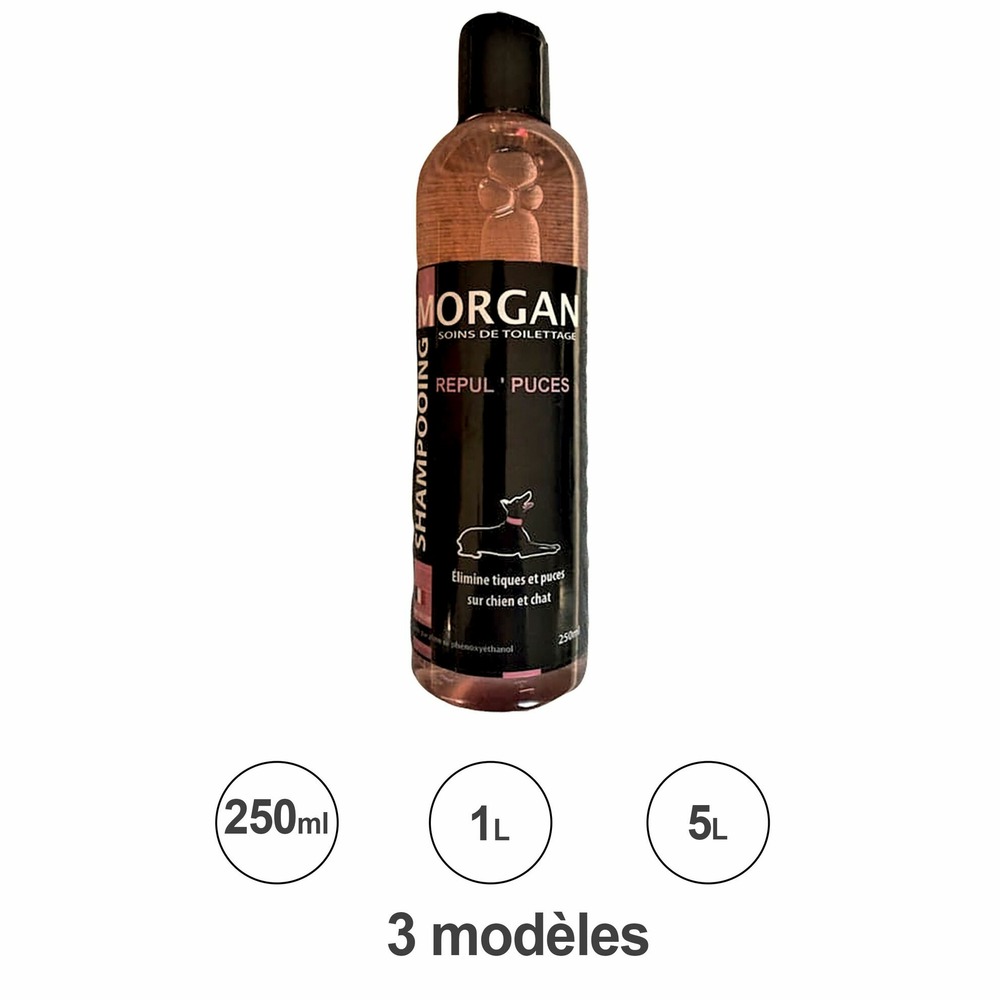 Shampoing repul'puces morgan