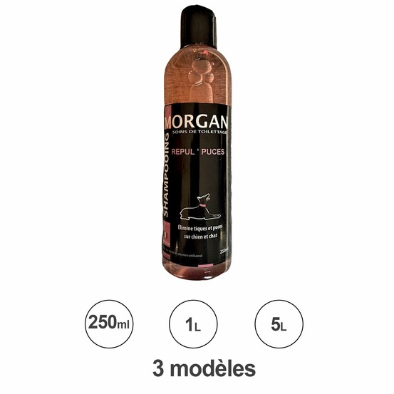 Shampoing repul'puces morgan