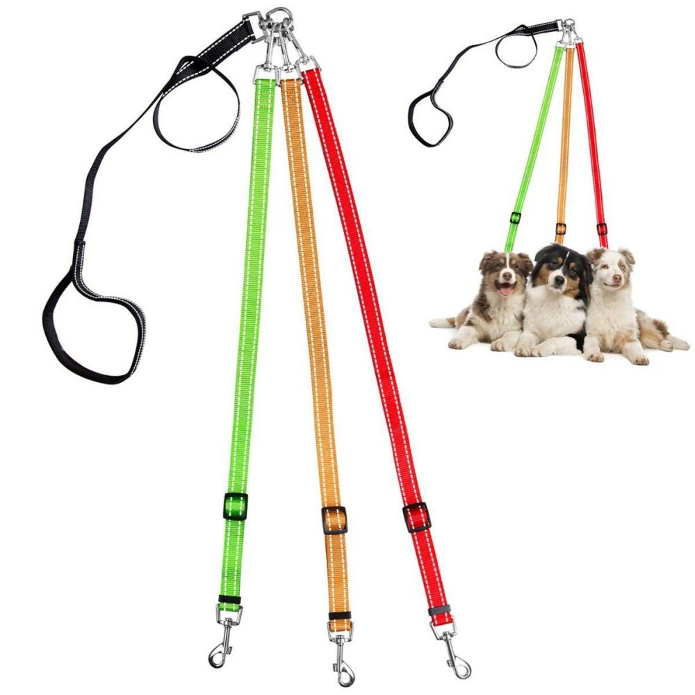 Laisse pour chien 3 têtes